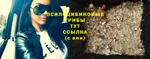 прущий лед Армянск
