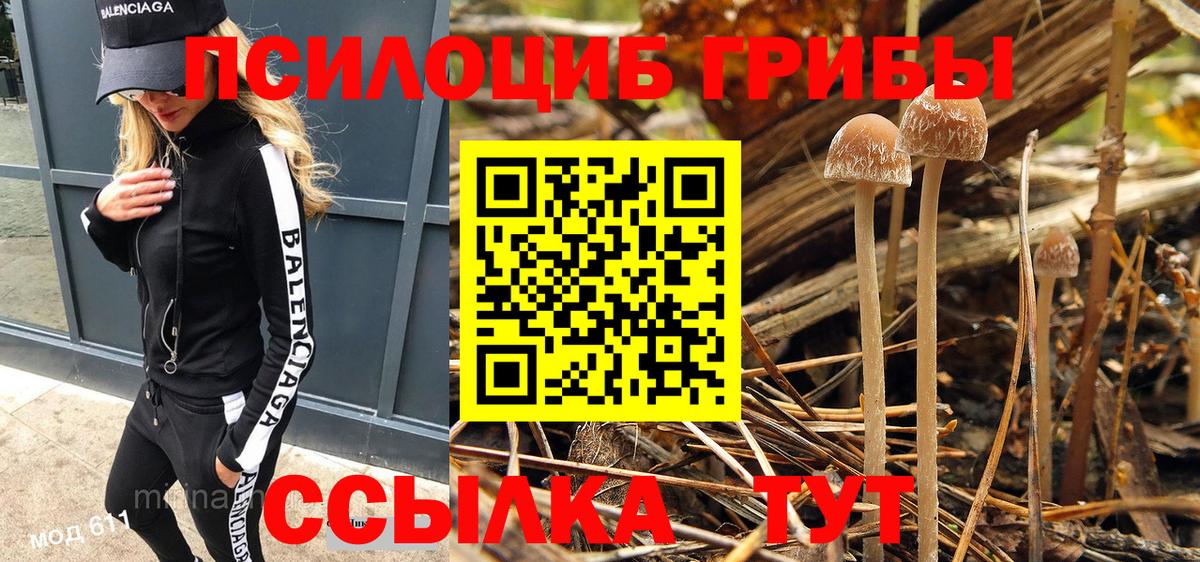 Лесосибирск  Псилоцибиновые грибы GOLDEN TEACHER  Вход с VPN 