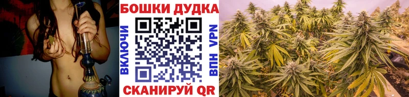 МАРИХУАНА сатива  ссылка на мегу tor  Лесосибирск 
